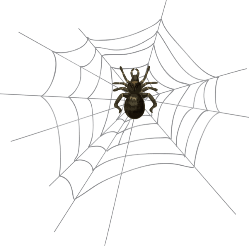 Free Png Download Halloween Spider Web Png Png Images (850x842), Png Download