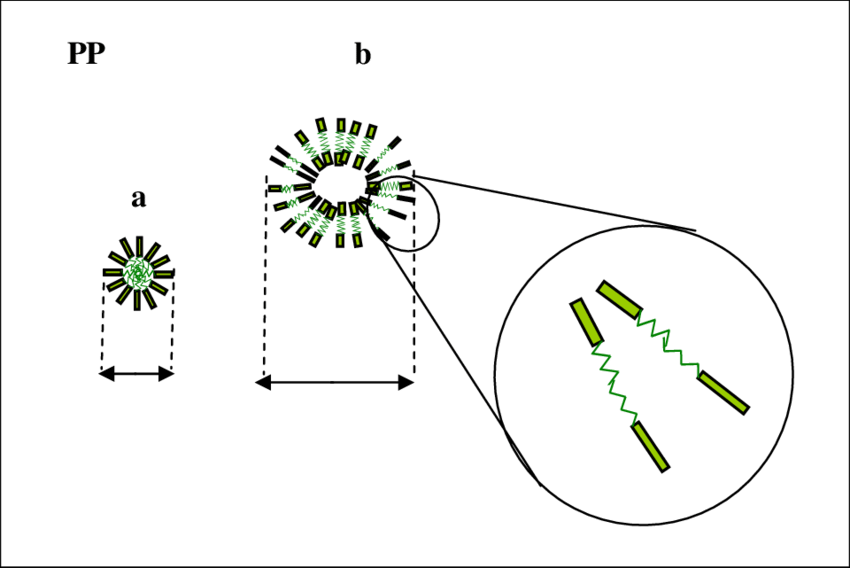 Distribution Of Micelles In The Pp Matrix Phase A - Diagram (850x568), Png Download