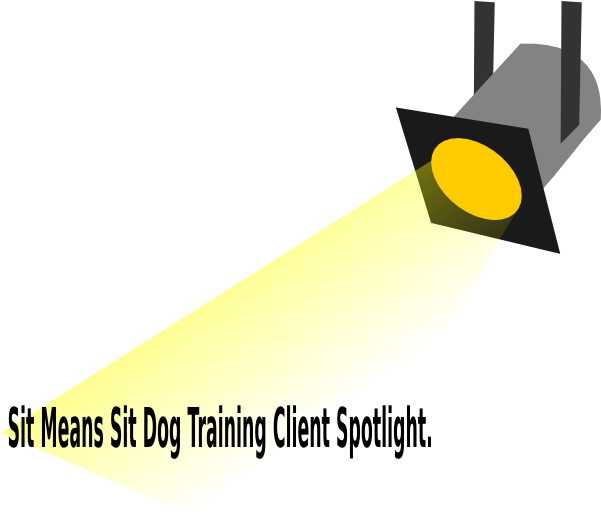 Small - Spotlight Clip Art (600x563), Png Download