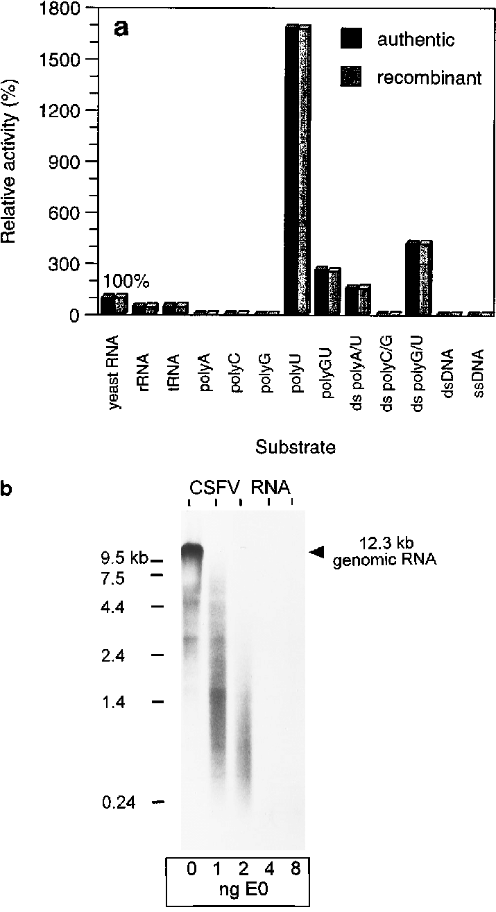 Download - Ribonuclease (719x1326), Png Download