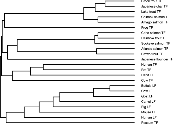 Phylogenetic Tree Of The 24tfs Constructed By Clustalw - Colorfulness (663x476), Png Download