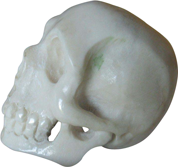 Deer Antler Netsuke - Skull (705x705), Png Download