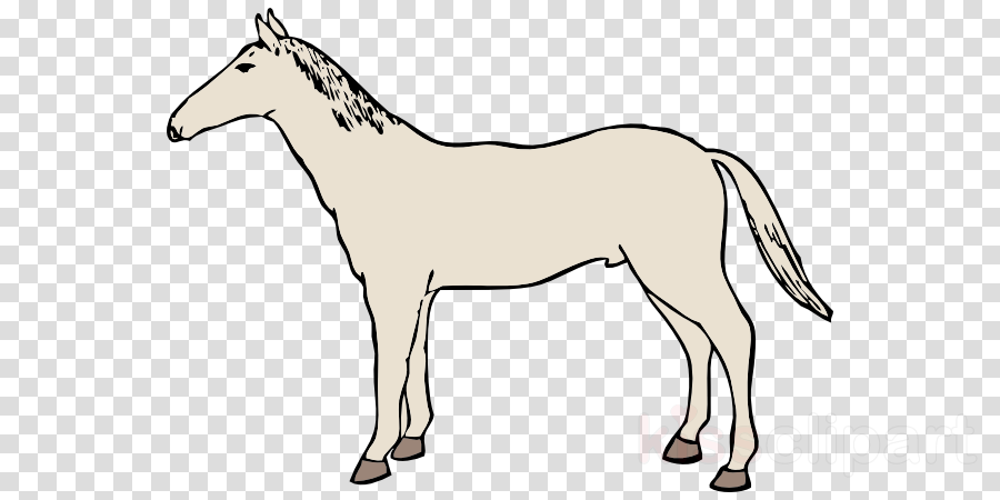 White Horse Clipart Arabian Horse Shire Horse Clip - Horse Drawing Shower Curtain (900x450), Png Download