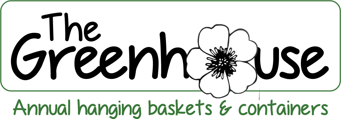 We Specialize In Hanging Baskets And Containers, Most (1138x398), Png Download