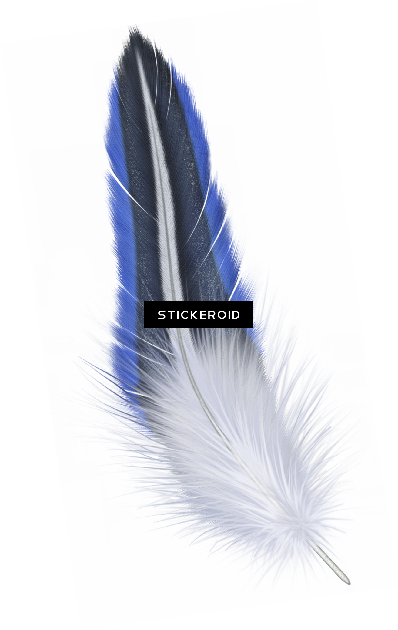 Feather (1313x2077), Png Download