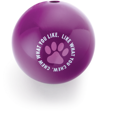 Large Rocket Ball Paw Dog Toy - Dog Toy (570x570), Png Download