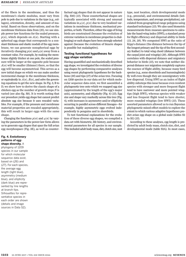 Discovery Of Achilles On Skyros (729x929), Png Download