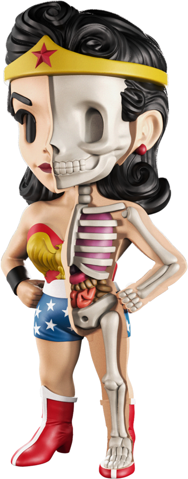 Dc Comics Xxray Golden Age Wave 1 Wonder Woman Figure (1000x1000), Png Download