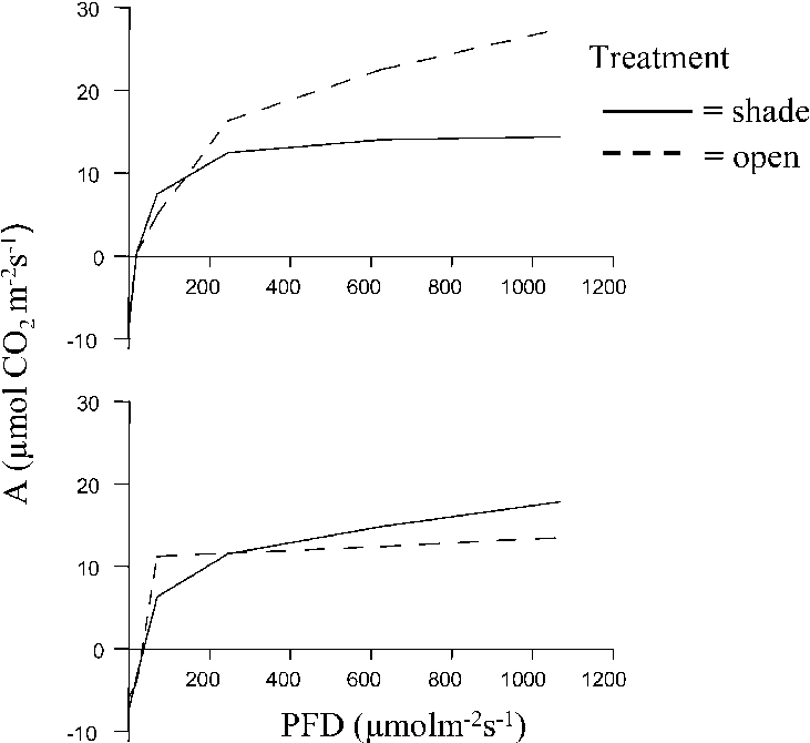Light Response Curves For Recombinant Inbred Lines - Diagram (731x670), Png Download