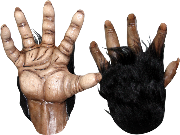 Monster Hands Png Png Black And White Download - Chimp Hands And Feet (600x600), Png Download
