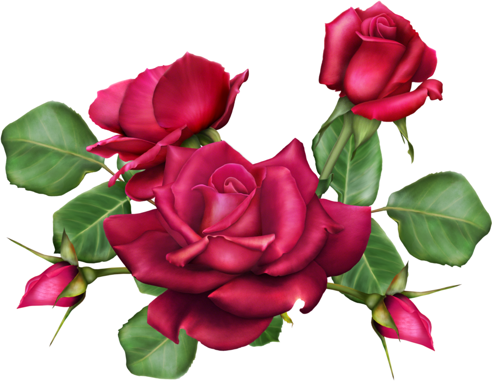 Download Jaguarwoman Flower Design - Full Size PNG Image - PNGkit