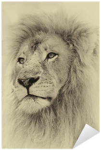 Toned Face Sticker Pixers - Doomsday Diaries Iv: Luke And The Lion (400x400), Png Download