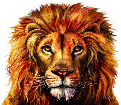 Lion Face Png Download - Lion Phoenix (510x414), Png Download