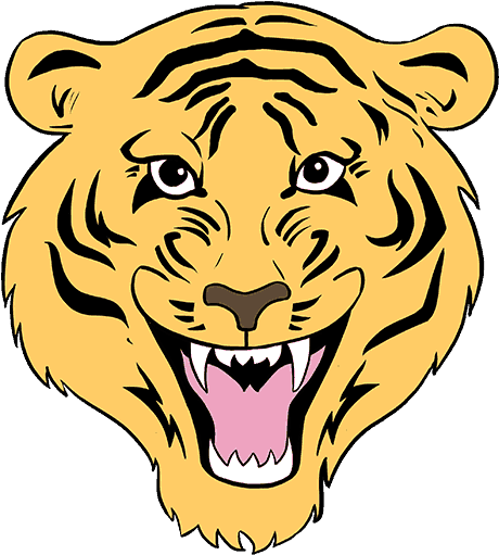How To Draw A Tiger Face In A Few Easy Steps - Drawing Of Tiger For Kids (678x600), Png Download