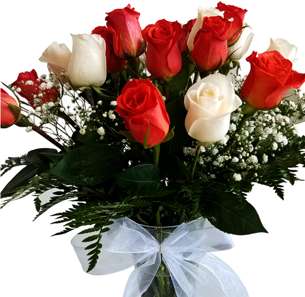 Love With Color - Garden Roses (600x600), Png Download