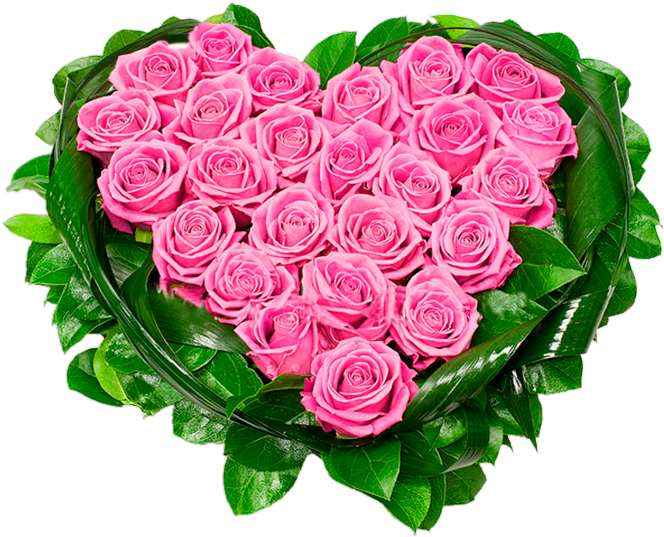 Heart Of Pink Roses Png Clipart Picture - Ramo De Rosas Rosadas (705x578), Png Download