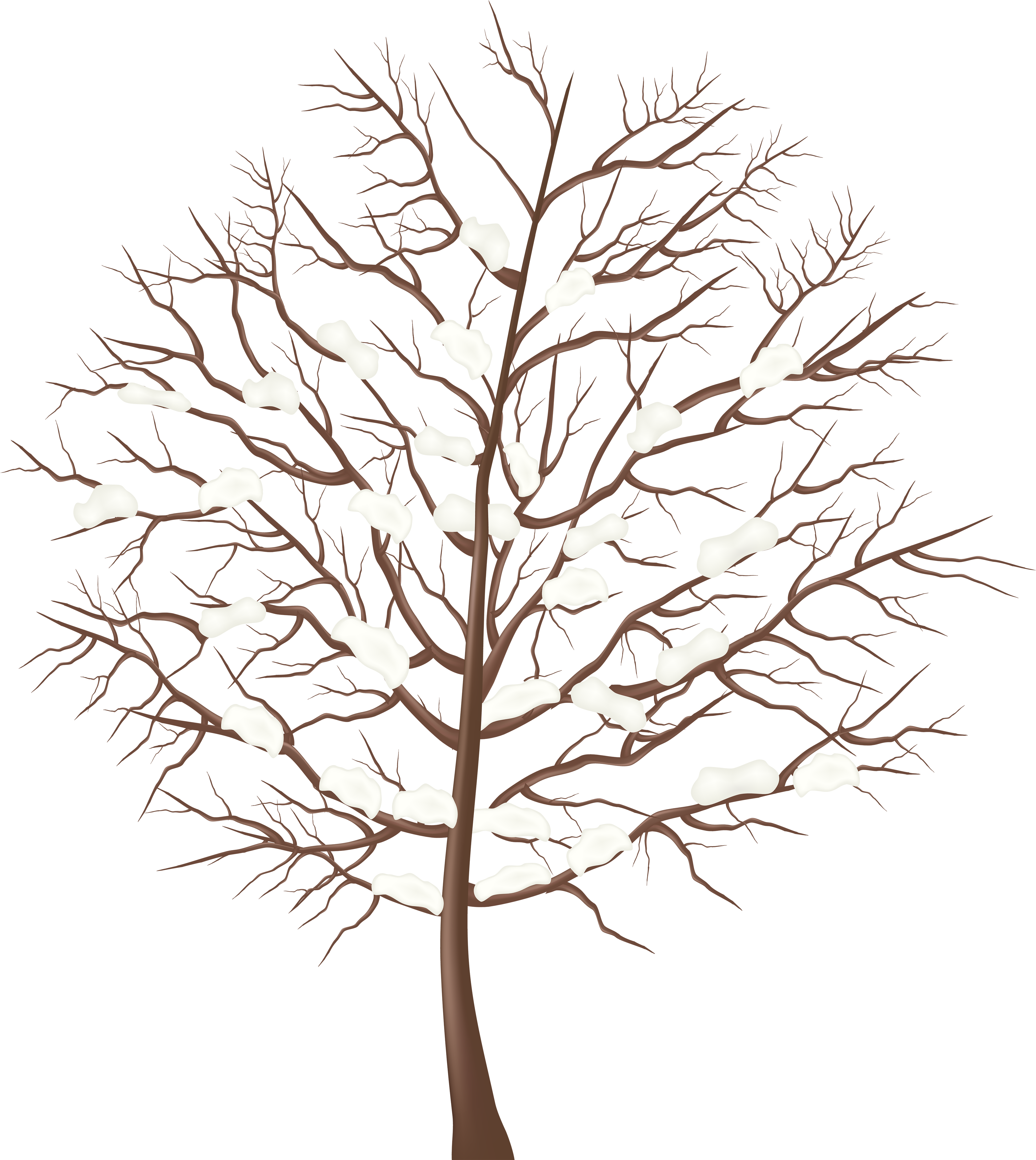 Clip Arts Related To - Winter Tree Transparent (4470x5000), Png Download