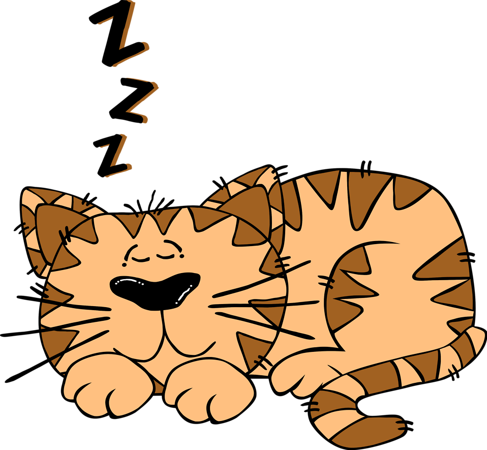 Free Stock Photo - Cat Sleeping Clipart (958x885), Png Download