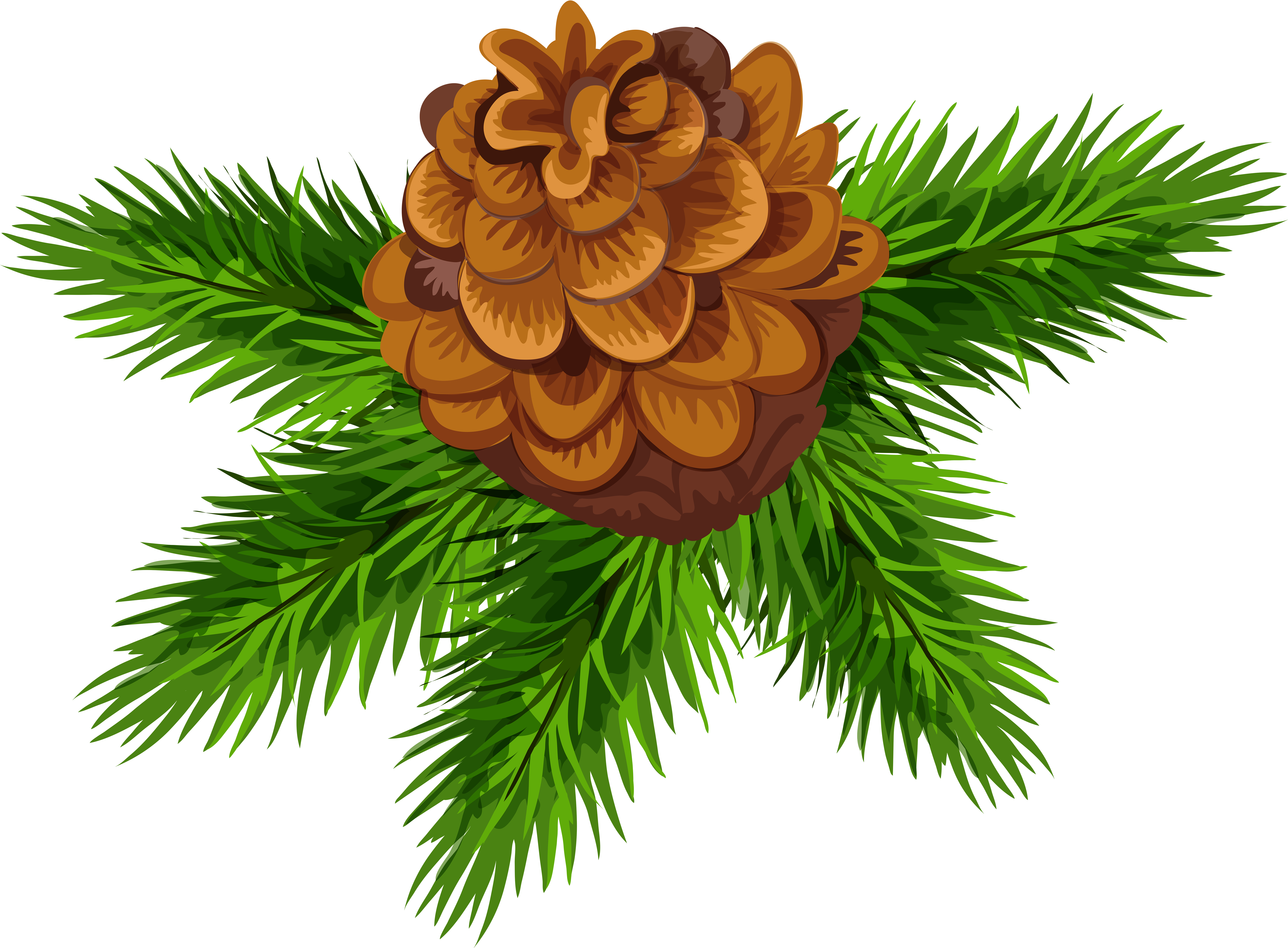 Illustration (8000x5842), Png Download