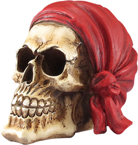 Pirate Skull With Red Bandana Statue - Skull (555x555), Png Download