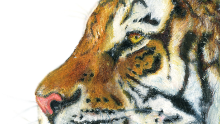 My Latest Artwork - Drawing (707x400), Png Download