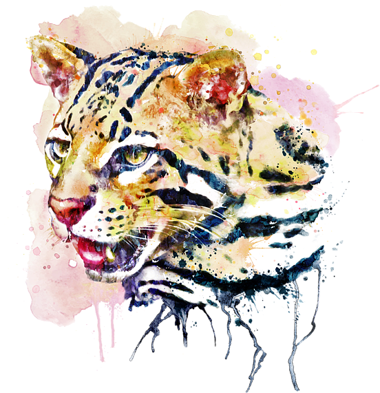 Click And Drag To Re-position The Image, If Desired - Society6 Ocelot Head Rug - 2' X 3' (600x600), Png Download