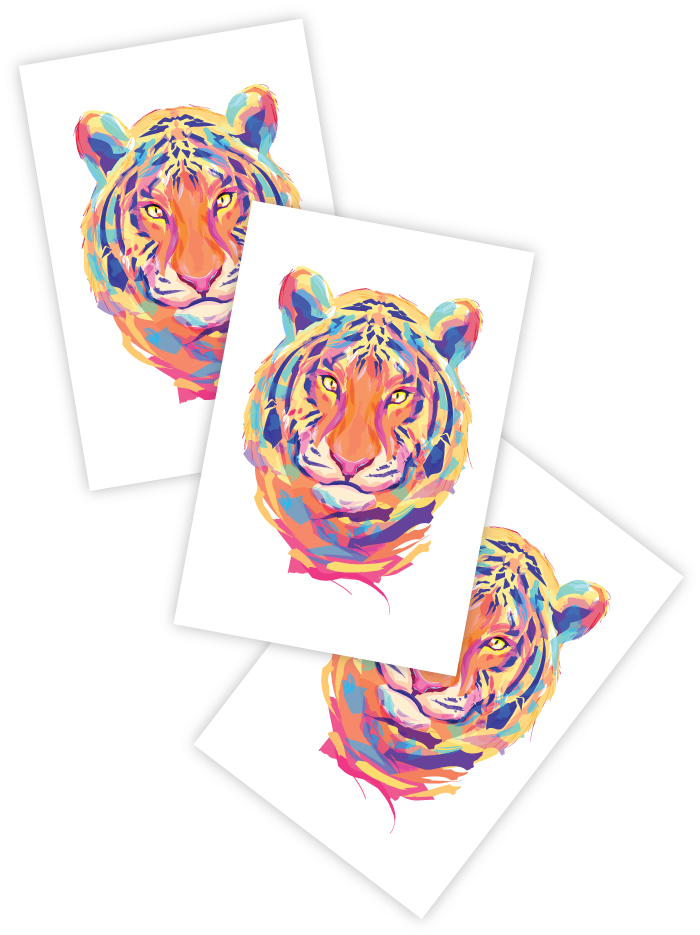 Tiger (811x1081), Png Download