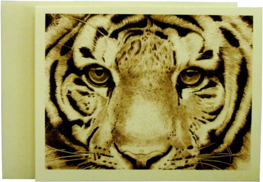 Clemson University Tiger Face Note Cards - Schetsen &amp; Tekenen Voor Beginners (600x450), Png Download