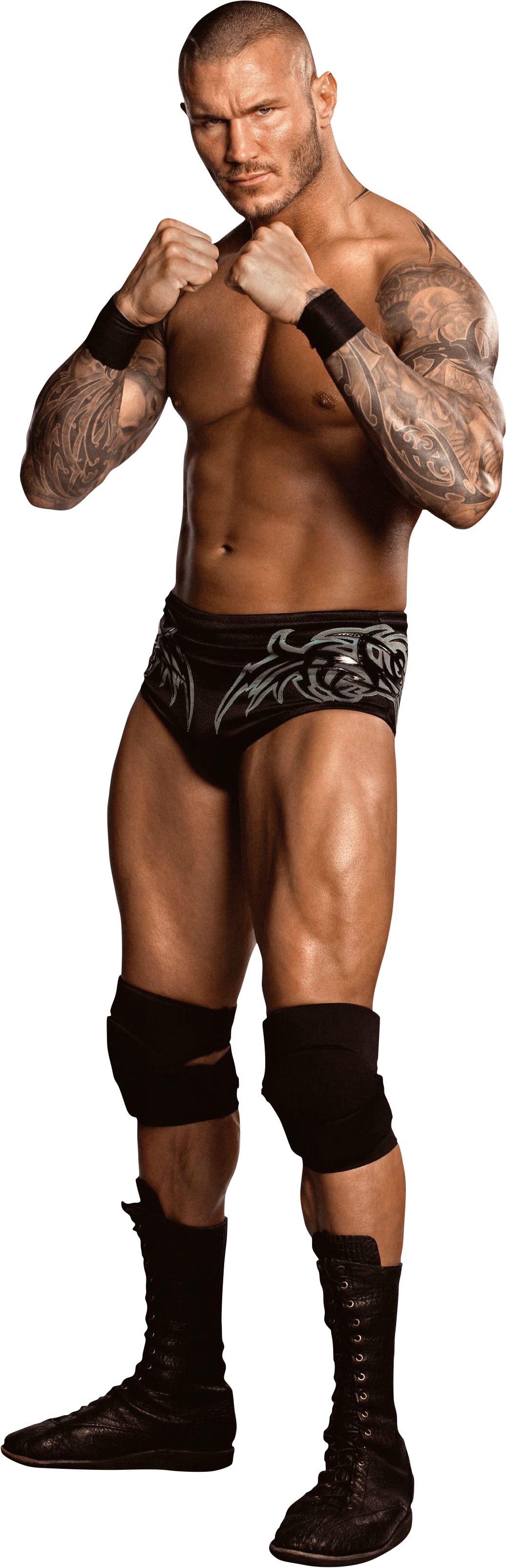 Randy Orton Png Image - Randy Orton Full Body (1036x3211), Png Download