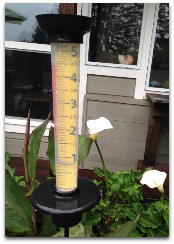 So How Much Is The Error Well, At The Simplest Level - Yard (604x856), Png Download