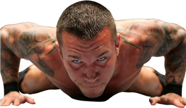 Randy Orton (640x480), Png Download