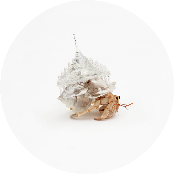 Miniature Windmills, Churches, And Even Entire Cities - Shelter For Hermit Crabs (580x580), Png Download