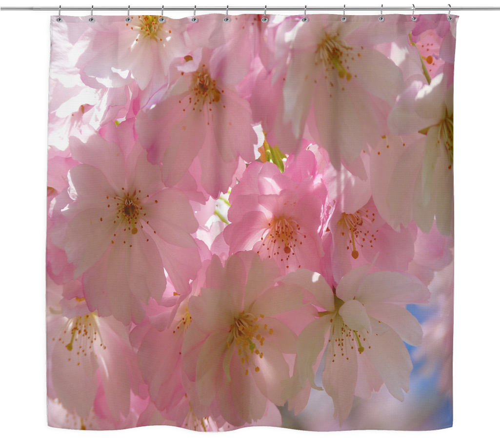 Japanese Cherry Blossom Tree Shower Curtain - 3drose Cst 186283 2 Print Of Close Up Of Japanese Cherry (1024x1024), Png Download