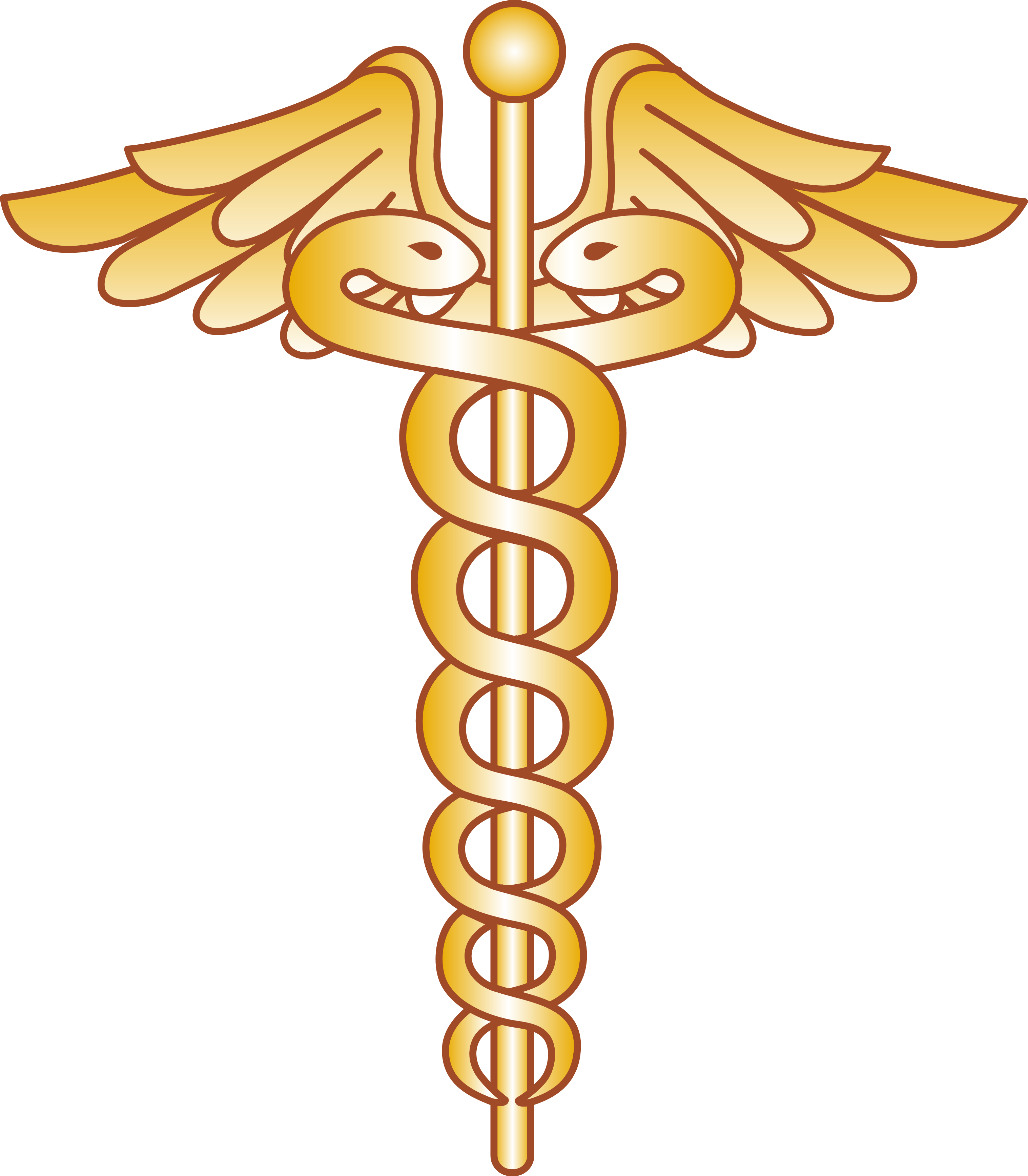 Banner Download Caduceus Medical Symbol Clipart - Doctor Logo Png (3034x3471), Png Download