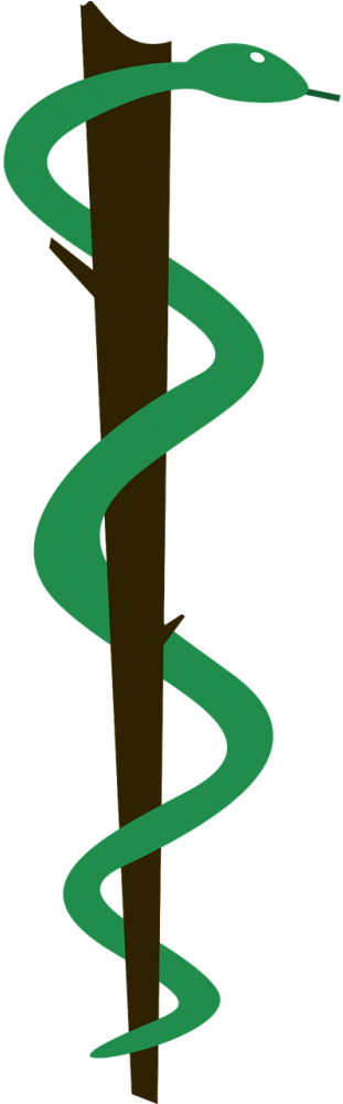 Symbol,free - Medicine (500x1000), Png Download