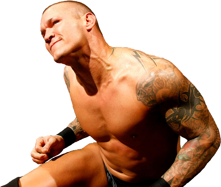Bad Cut For Anyone Who Wishes To Participate - Randy Orton Face Cut (757x631), Png Download