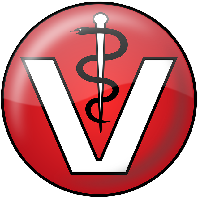 Logo, Animals, Doctor, Hospital, Pharmacy, Medicine - Logos Vétérinaire (640x638), Png Download