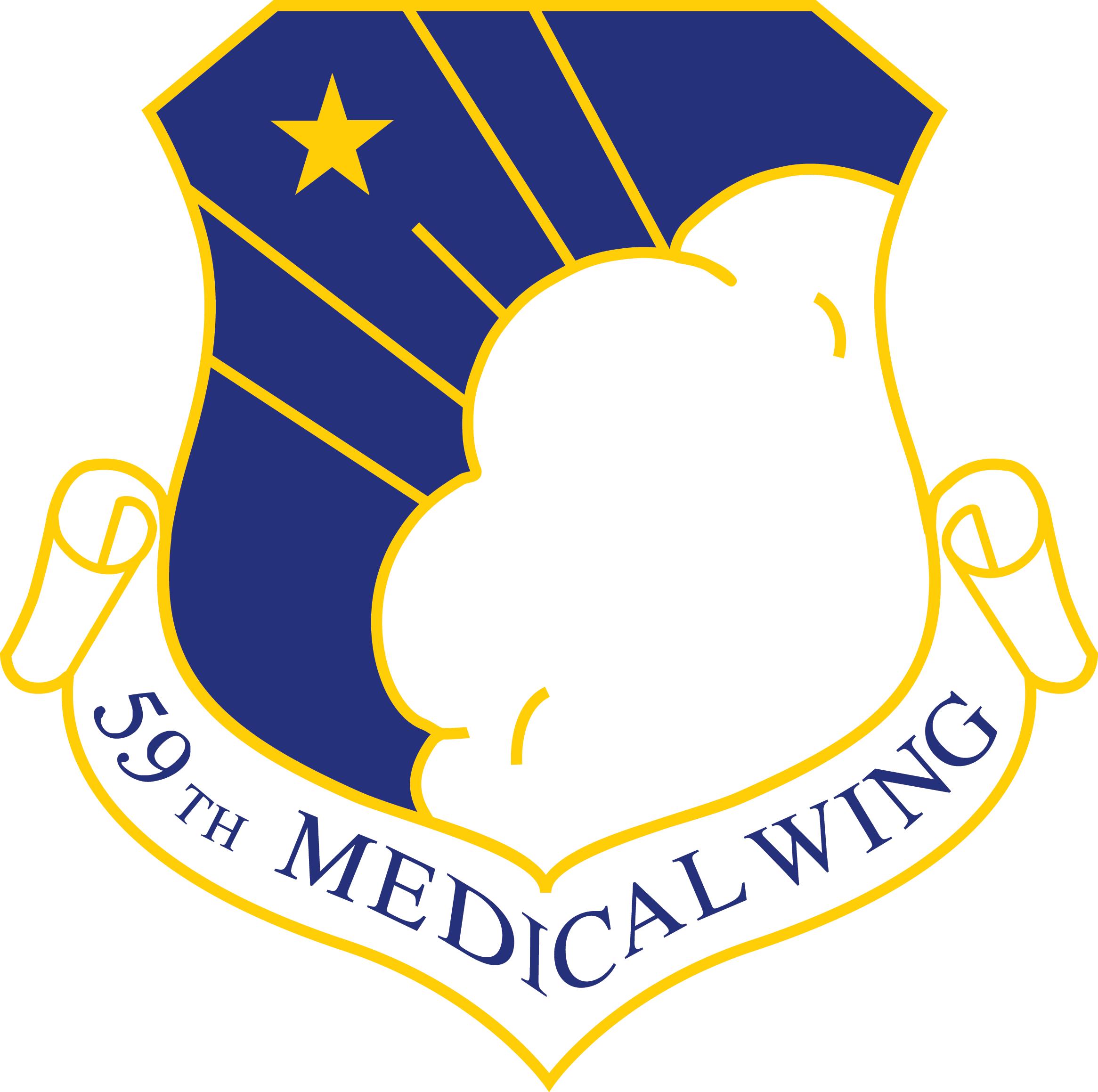 Png For Print - 59th Medical Wing (2331x2318), Png Download