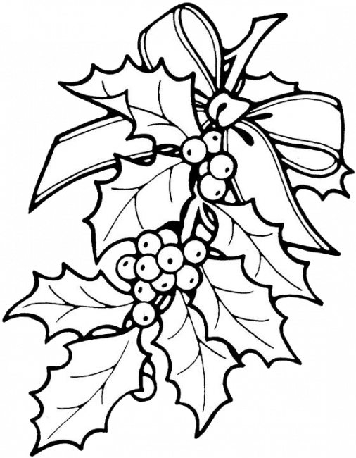 Christmas Leaves Coloring Pages (506x650), Png Download
