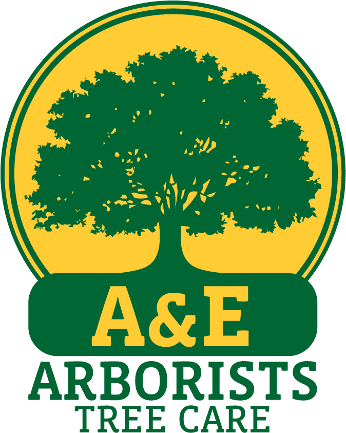 A&e Arborists Tree Care - Upgris (960x960), Png Download