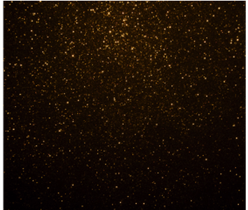 Brown Background Png K Pictures Full Hq - Star (450x300), Png Download