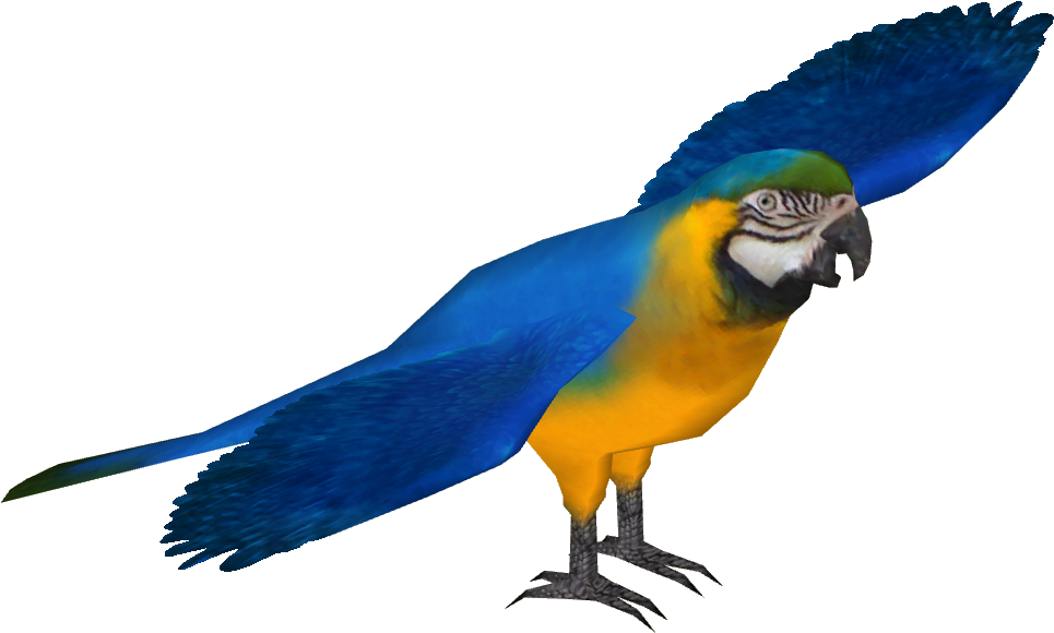 Blue And Gold Macaw - Zoo Tycoon 2 Macaw (964x964), Png Download