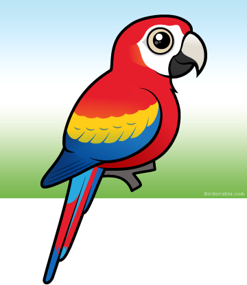 More Products - Draw A Cute Scarlet Macaw (360x414), Png Download