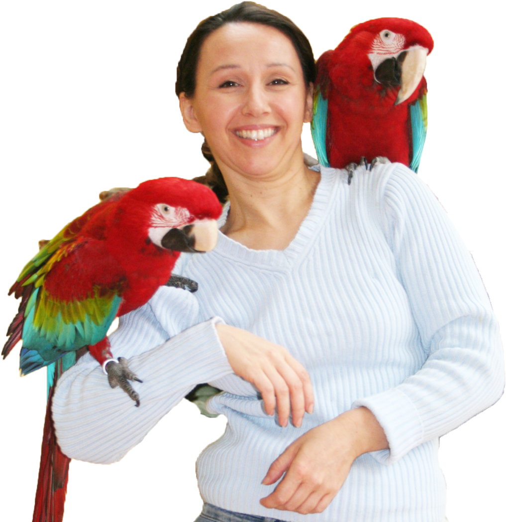 Tbs Header Ann 2 Aras - Parrot (1024x1056), Png Download