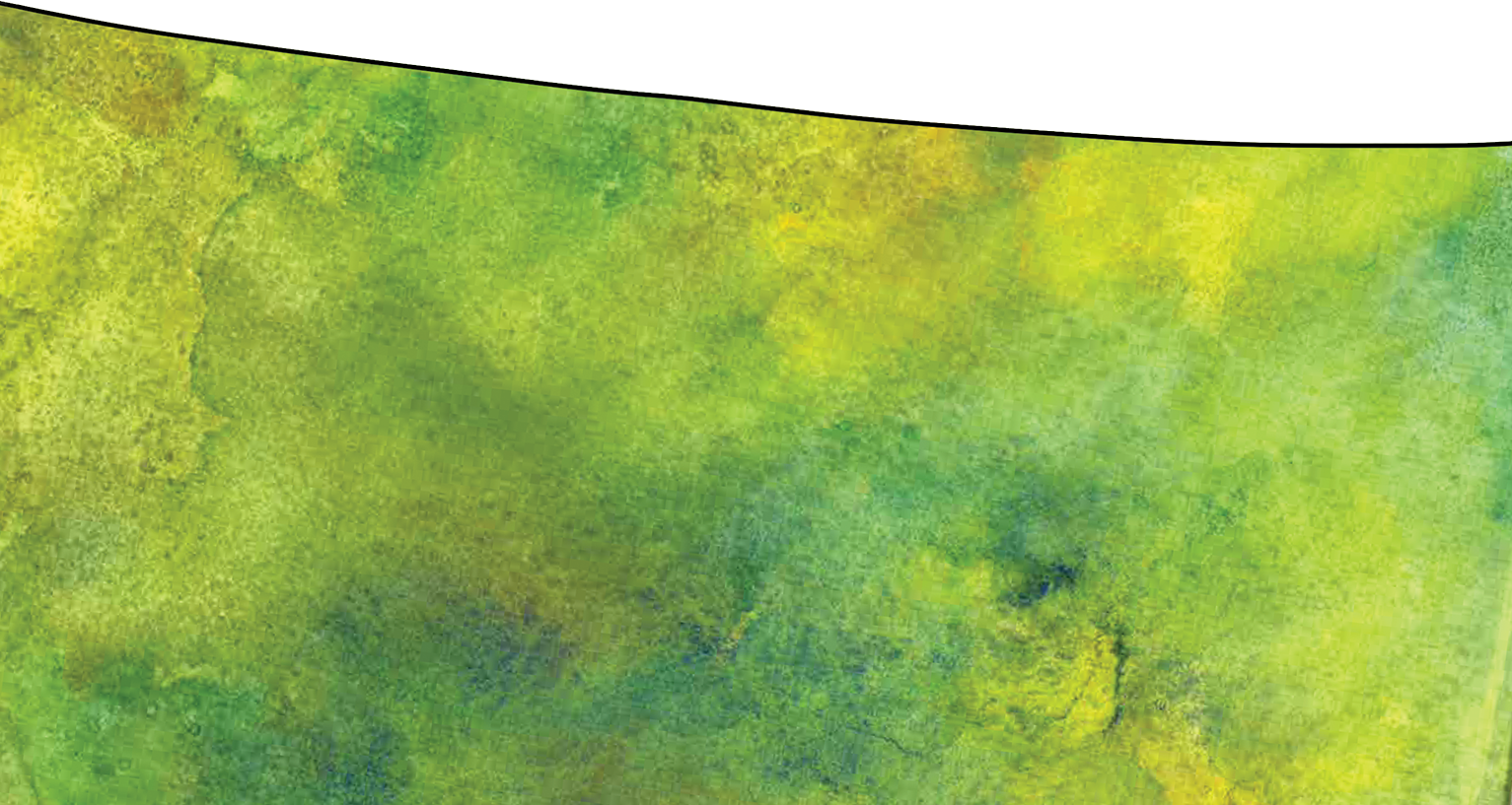 The King's Invitation - Painting (1533x817), Png Download