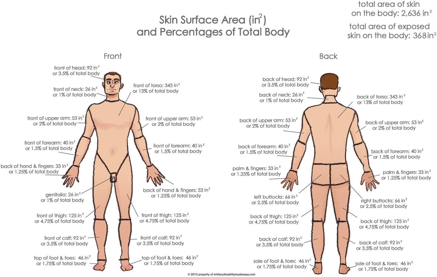 Ds Store - Back Pain (1464x927), Png Download