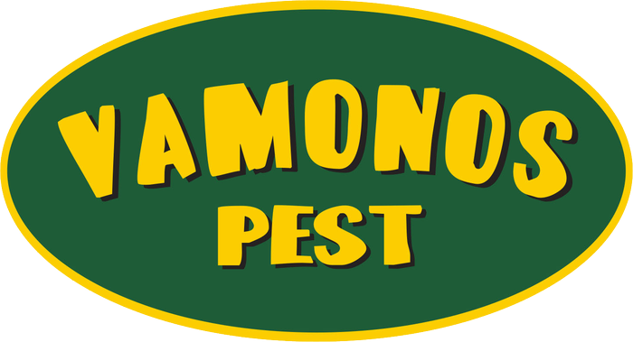 Vamonos Pest Rug - Poptoy Vamonos Pest Breaking Bad Rug (700x379), Png Download