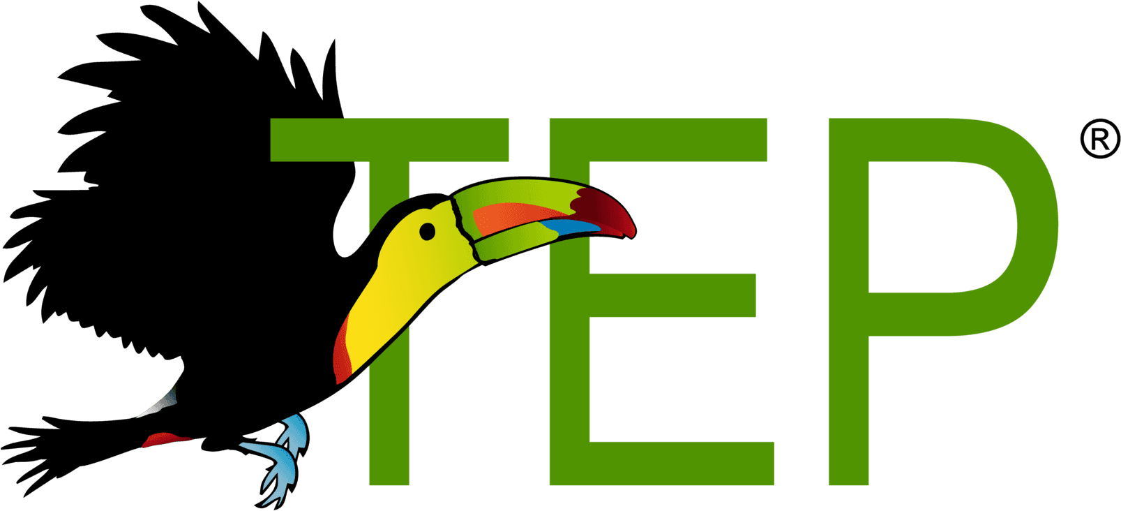 Piciformes (1920x1008), Png Download