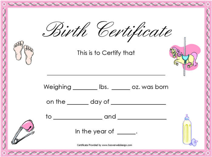 Download Png Birth Certificate Birth Certificate For A Girl Full