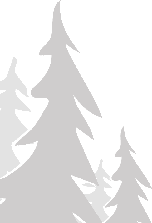 Apex Outfitter And Board Co - Apex Outfitter & Board Co. (487x716), Png Download
